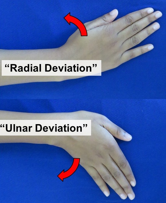 Pronation/Supination Wrist Exercise Wheel