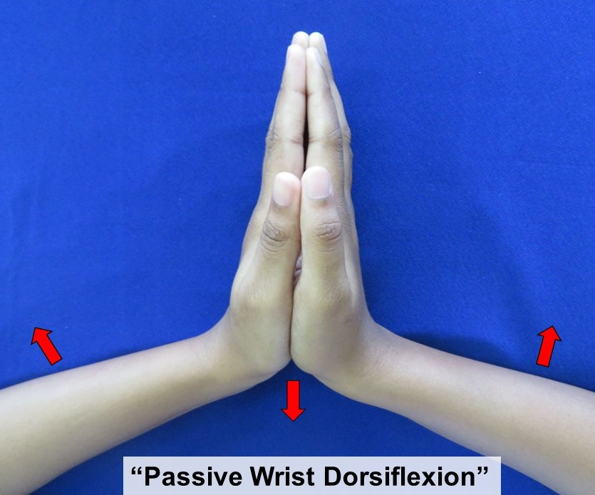 dorsiflexion of wrist