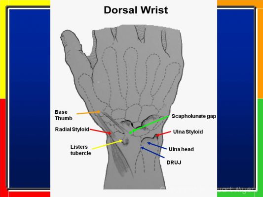 Hand And Wrist Examination