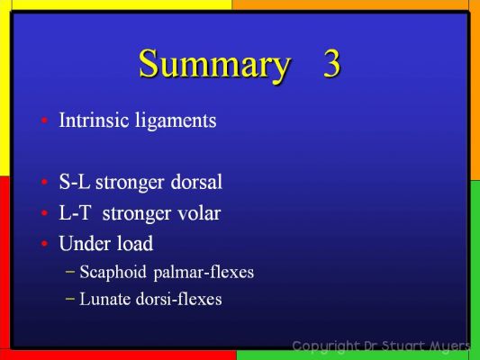 Carpal Ligaments Anatomy