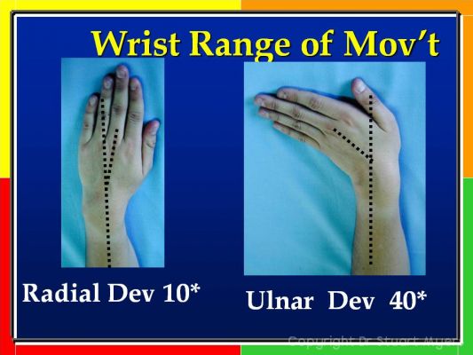 Hand and Wrist Examination